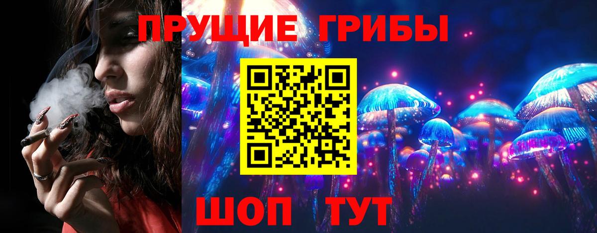Сердобск  Псилоцибиновые грибы MAGIC MUSHROOMS  Вход с VPN 